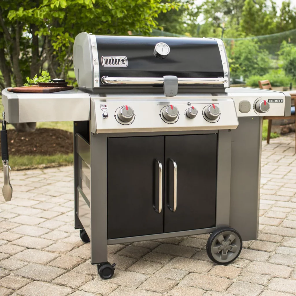 Freestanding Gas Grills